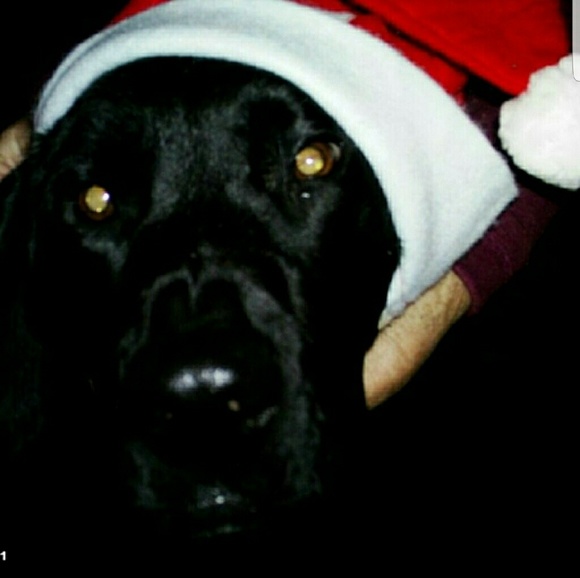 🍻🥂 now accepting offers on bundles - Picture 3 of 17